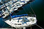 High angle view of yachts docked at a harbor, Boston, Massachusetts, USA