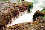 Erhöhte Ansicht des Wassers fließt über einen Felsen Bildung, La Jolla Riffe, Bucht von San Diego, Kalifornien, USA