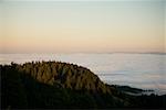 High angle view of a hill surrounded by clouds, Mt. Tamalpais State Park, California, USA