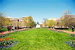 Faible angle vue d'Andrew Jackson Statue, Lafayette Park, Washington DC, USA