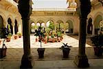Potted plants in the courtyard of a museum, Government Central Museum, Jaipur, Rajasthan, India