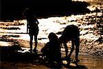 High angle view of children playing on the beach, San Diego, California, USA