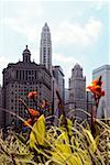 Low angle view of buildings in a city, Chicago, Illinois, USA