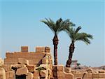 Zwei Palmen in der Nähe von eine Steinmauer, Tempel von Karnak, Luxor, Ägypten