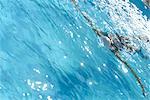 High Angle View of Female Swimmer Swimming Backstroke