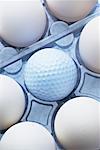 Eggs in Carton With Golf Ball