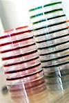 Close-up of a stack of petri dishes