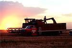 Wheat harvest and a combine with sunset in the background , Burlington , Colorado