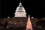 Regierungsgebäude beleuchtet in der Nacht, Kapitol, Washington DC, USA