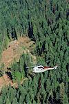 Heli-logging, British Columbia, Canada