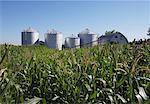 Silos à grains