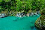 Mont Aspiring National Park, Nouvelle-Zélande, South Island