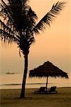 Chaises et Palapa sur la plage, Hoi An, Viêt Nam