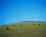 Moulins à vent, Altamont, Californie, USA