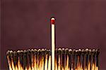 One Unlit Match Among Row of Burnt Matches