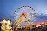 Ferris Wheel at the CNE, Toronto, Canada