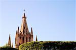 High section view of a cathedral, La Parroquia De San Miguel Arcangel Church, San Miguel De Allende, Guanajuato, Mexico