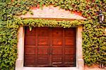 Closed door of a house, Mexico