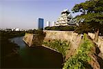 Château le long d'un fossé, Osaka Castle Osaka, Japon