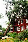 Abgefallener Baum auf ein Haus, Washington DC, USA