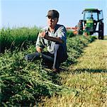 Farmer Checking Crop