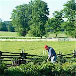 Farmer Tending Field