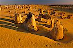 Calcaire pinacles, désert de Pinnacle, Western Australia, Australie