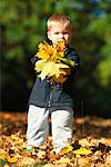 Child Holding Leaves