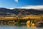 Autumn Hillside, Bannockburn, Otago, South Island, New Zealand