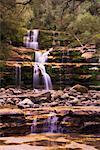 Wasserfall, Falls der Liffey, Liffey fällt Reserve, Tasmania, Australien