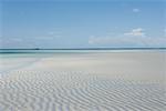 Beach, Zanzibar, Tanzania