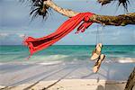 Sarong und Sandalen hängen von Baum, Kiwengwa Beach, Zanzibar, Tansania