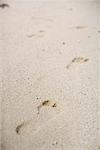 Footprints at the beach