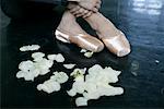 Feet of a female ballet dancer wearing ballet shoes lying next to rose petals on the floor