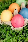 Easter eggs in carton on grass