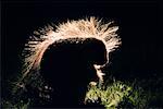 Porcupine at Night