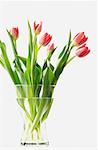 Vase de tulipes roses