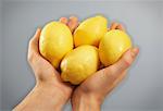 Person, die Hände halten Zitronen