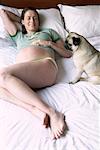 Schwangere Frau auf dem Bett mit Hund