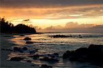 Scenic Shoreline, Mauritius