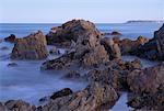 Rocky Shore, New South Wales, Australie