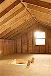 Trap Door and Window in Attic