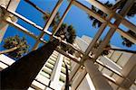 Low angle view of palm trees in front a building, Miami, Florida, USA