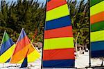 Colored sails lined up on a beach Nassau, Bahamas