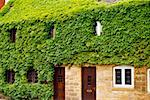 Vue latérale d'une maison couverte de feuillage vert, Broadway, Angleterre