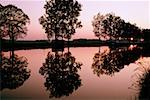 Silhouetted trees being reflected in the Bungundy Canal, France