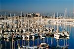 Large group of sailboats docked at Antibes/Cote D'Azur, France