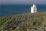 Sehen Sie Turm an der Küste, Burren, County Clare, Republik Irland