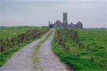 Route menant à un château, Ross Abbey, comté de Galway, Irlande