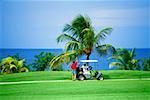 A golf cart is seen on a golfcourse at Wyndham Resort, Jamaica